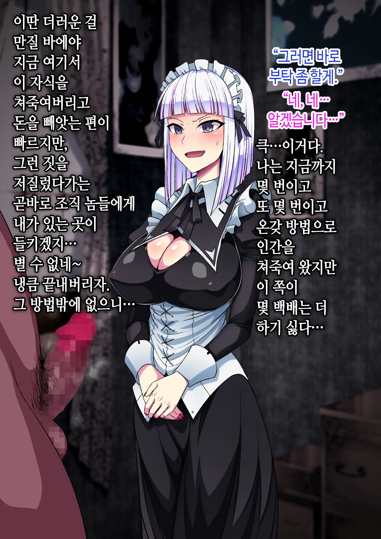 Kikaishiki Nyotaika Choukyou Monogatari | 기계식 여체와 조교 이야기